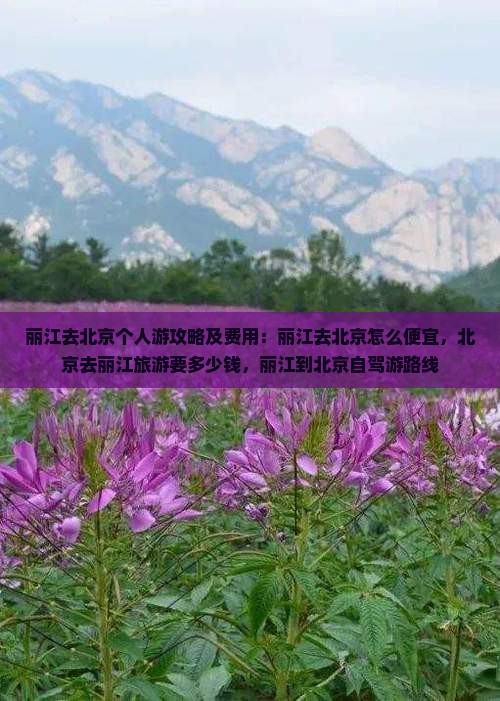 丽江去北京个人游