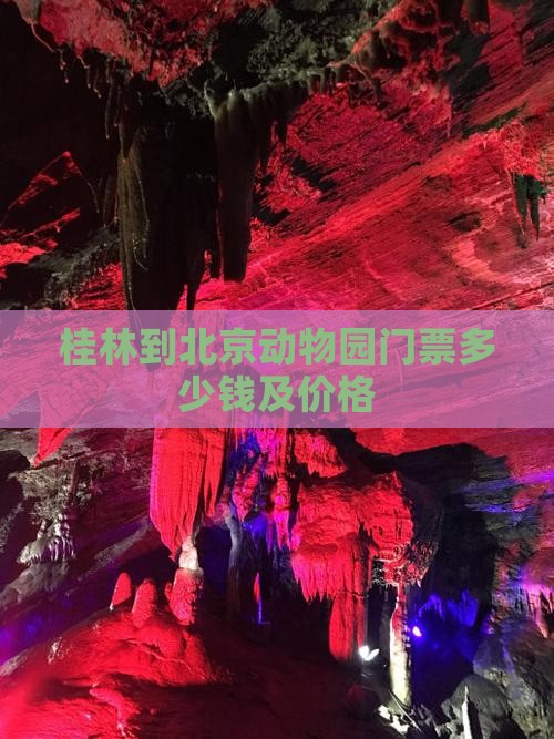 桂林到北京动物园门票