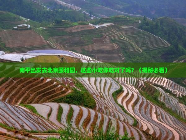 南平到北京颐和园旅游小吃
