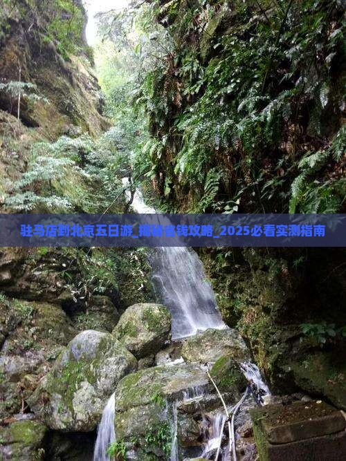 驻马店到北京五日游