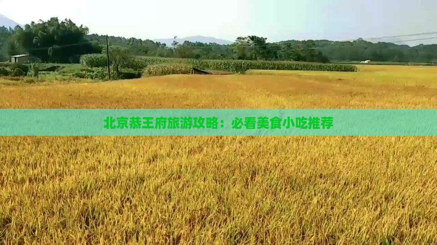 二月去北京恭王府旅游小吃