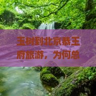 玉树到北京恭王府旅游