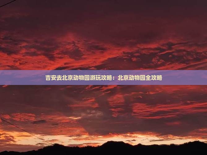 吉安去北京动物园哪里玩