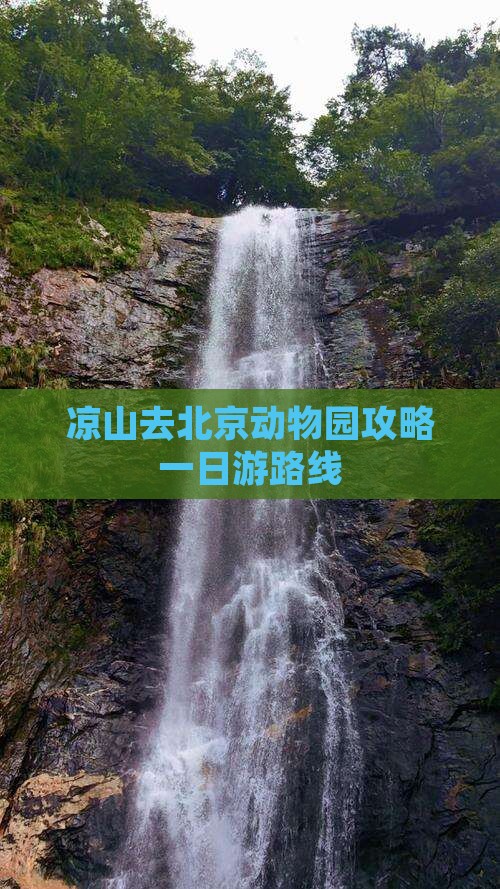 凉山去北京动物园攻略
