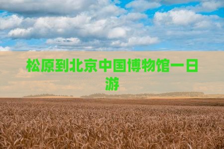 松原到北京中国国家博物馆一日游