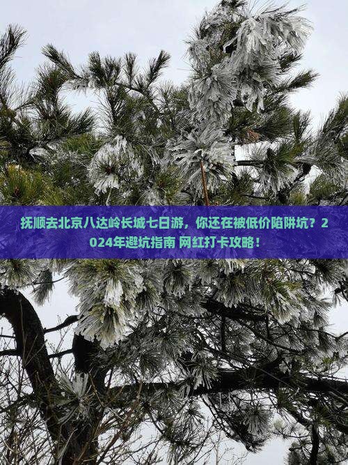 抚顺去北京八达岭长城七日游