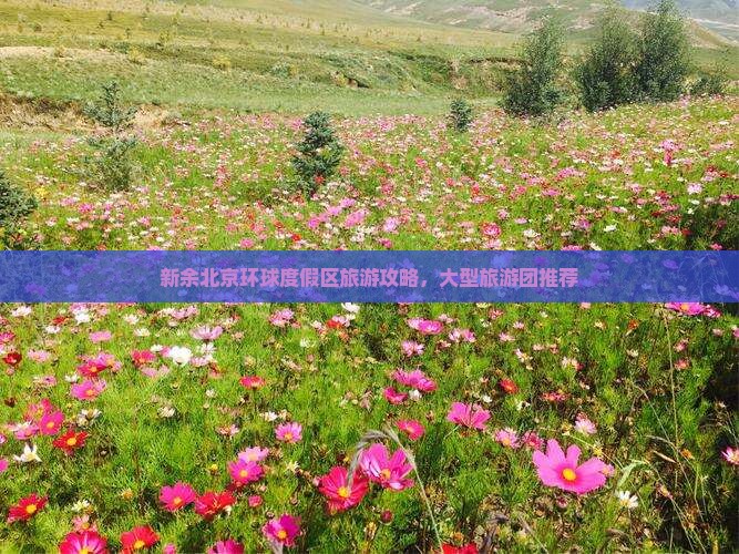 新余去北京环球度假区大型旅游团
