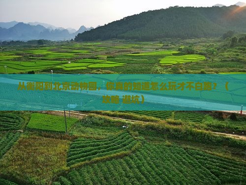衡阳到北京动物园哪里玩