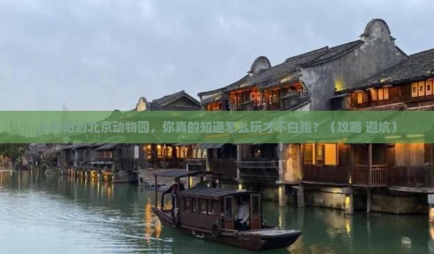 衡阳到北京动物园哪里玩
