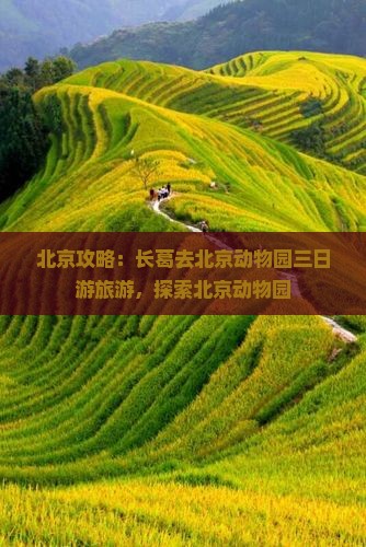 长葛去北京动物园三日游