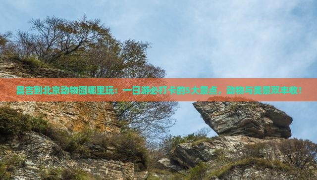 昌吉到北京动物园哪里玩