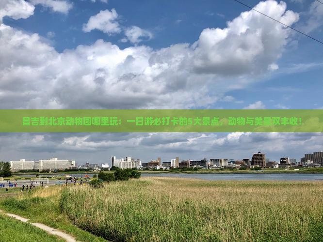 昌吉到北京动物园哪里玩