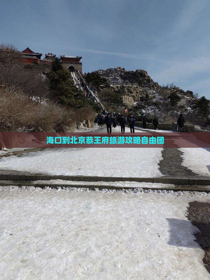海口到北京恭王府自由团