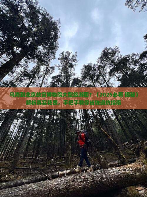 乌海到北京故宫博物院大型旅游团