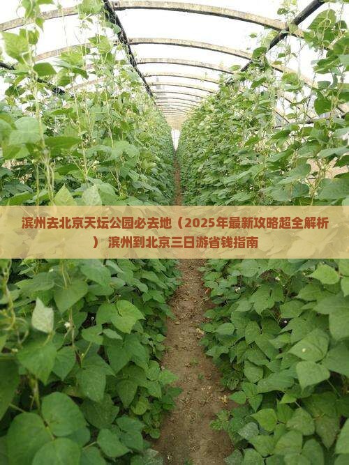 滨州去北京天坛公园必去地