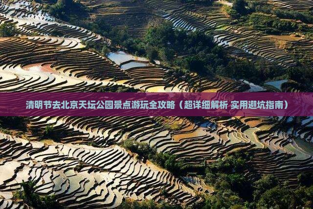 清明节去北京天坛公园景点