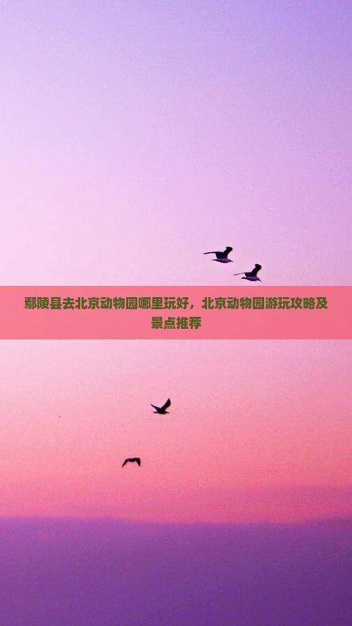 鄢陵县去北京动物园哪里玩