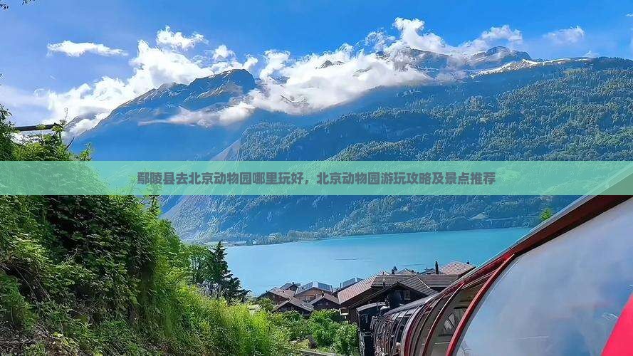 鄢陵县去北京动物园哪里玩