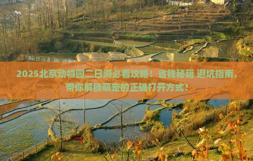二月去北京动物园二日游