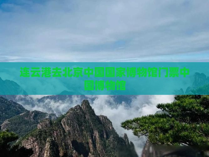 连云港去北京中国国家博物馆门票