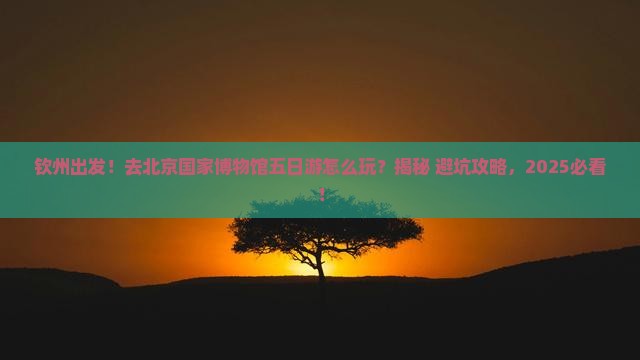 钦州去北京中国国家博物馆五日游