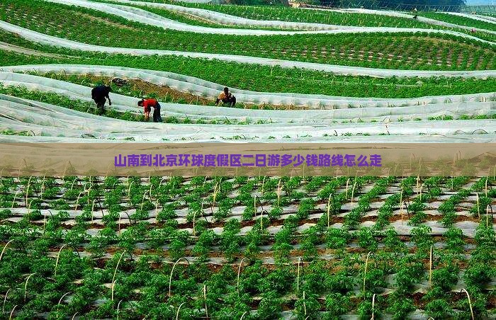 山南到北京环球度假区二日游