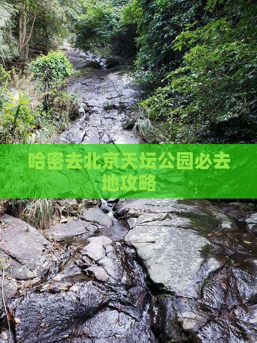 哈密去北京天坛公园必去地