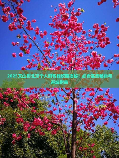 文山到北京个人游