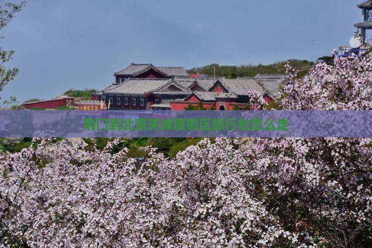 荆门到北京环球度假区旅行社