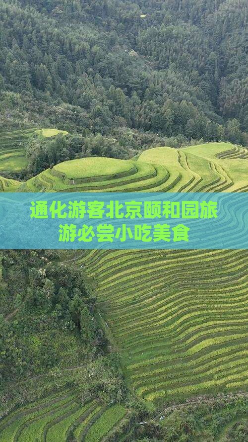 通化去北京颐和园旅游小吃