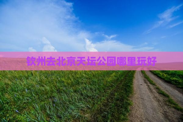 钦州去北京天坛公园哪里玩