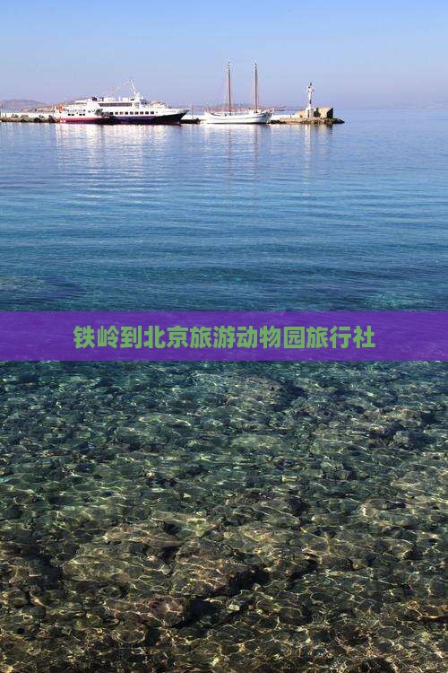 铁岭到北京动物园旅行社