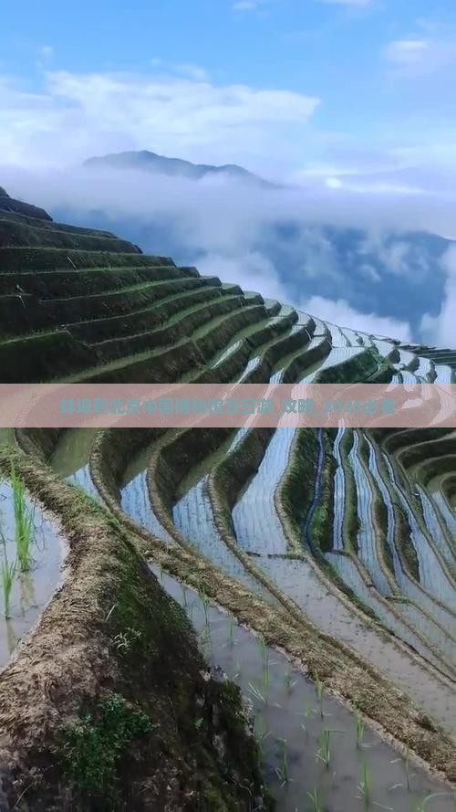 蚌埠到北京中国国家博物馆五日游