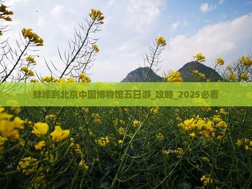 蚌埠到北京中国国家博物馆五日游