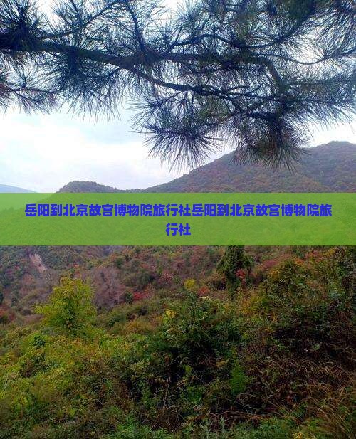 岳阳到北京故宫博物院旅行社