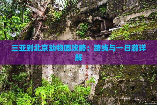 三亚到北京动物园攻略