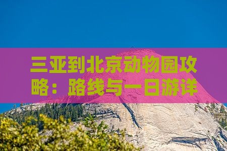 三亚到北京动物园攻略