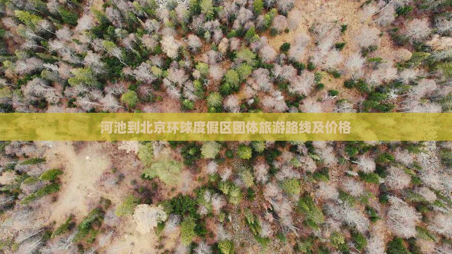 河池到北京环球度假区团体旅游