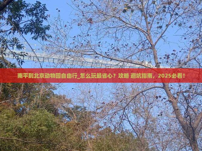 南平到北京动物园自由行