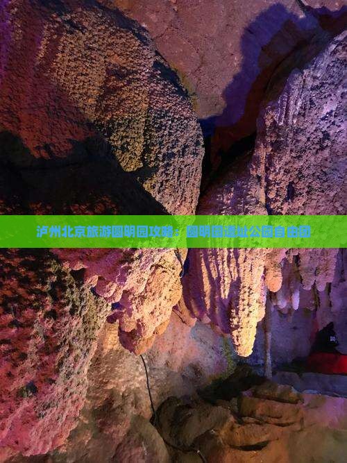 泸州去北京圆明园遗址公园自由团