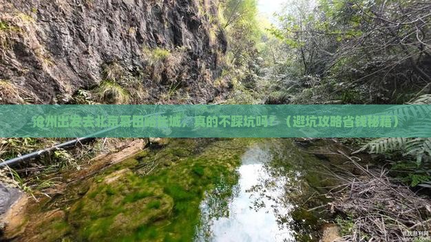沧州去北京慕田峪长城旅行社