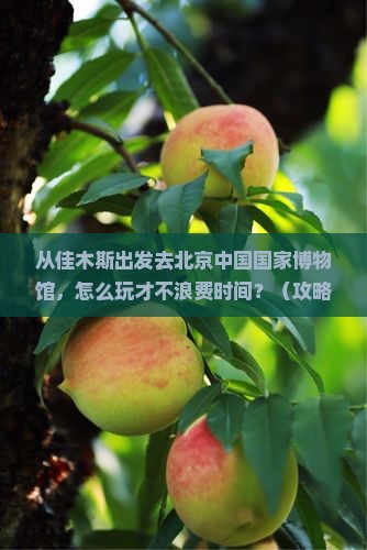 佳木斯去北京中国国家博物馆旅游
