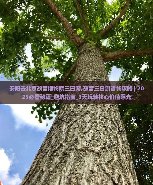 安阳去北京故宫博物院三日游