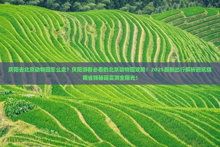 庆阳去北京动物园个人游