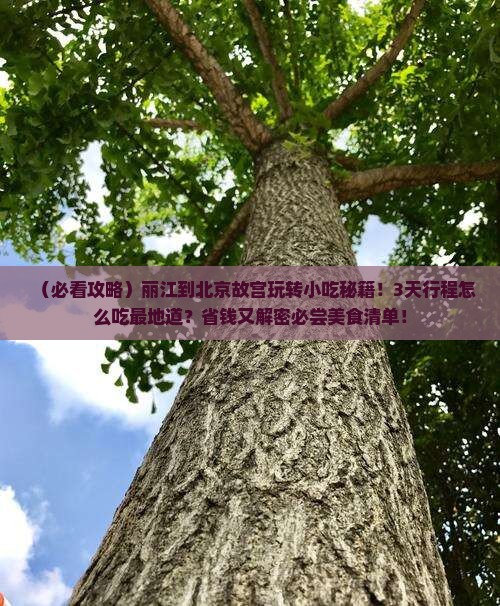 丽江到北京故宫博物院旅游小吃