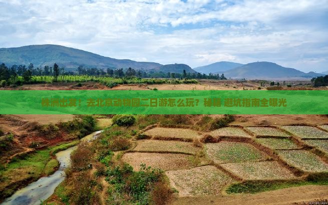 株洲去北京动物园二日游