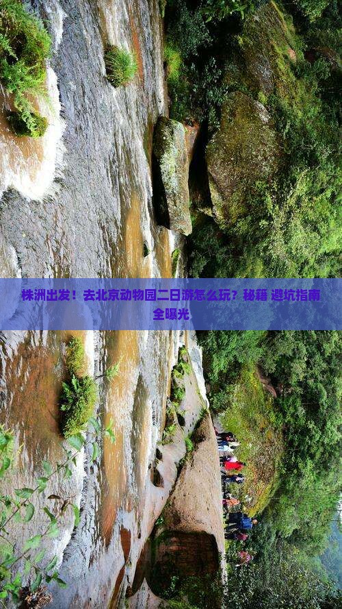 株洲去北京动物园二日游