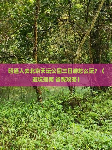 昭通去北京天坛公园三日游