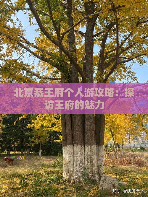 凉山去北京恭王府个人游