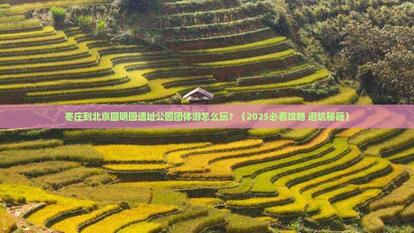 枣庄到北京圆明园遗址公园团体旅游